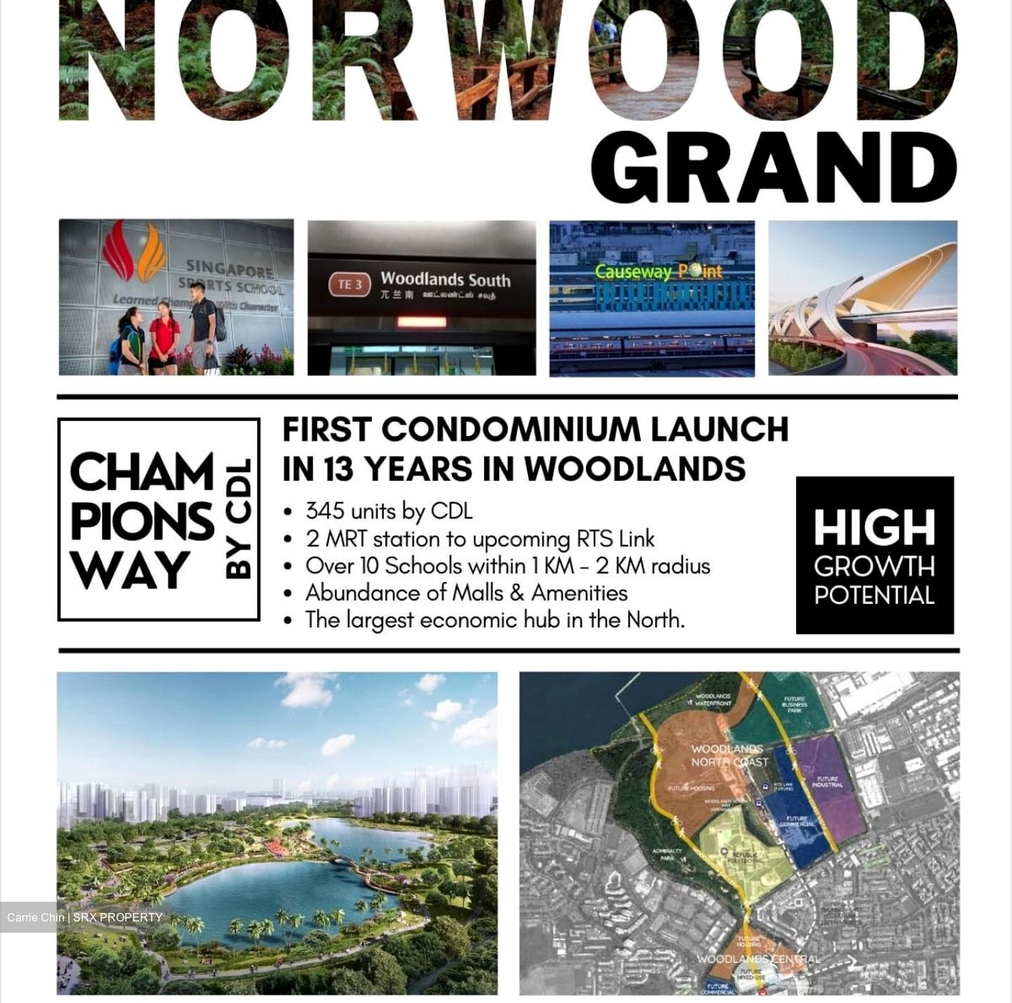 Norwood Grand (D25), Apartment #450081301